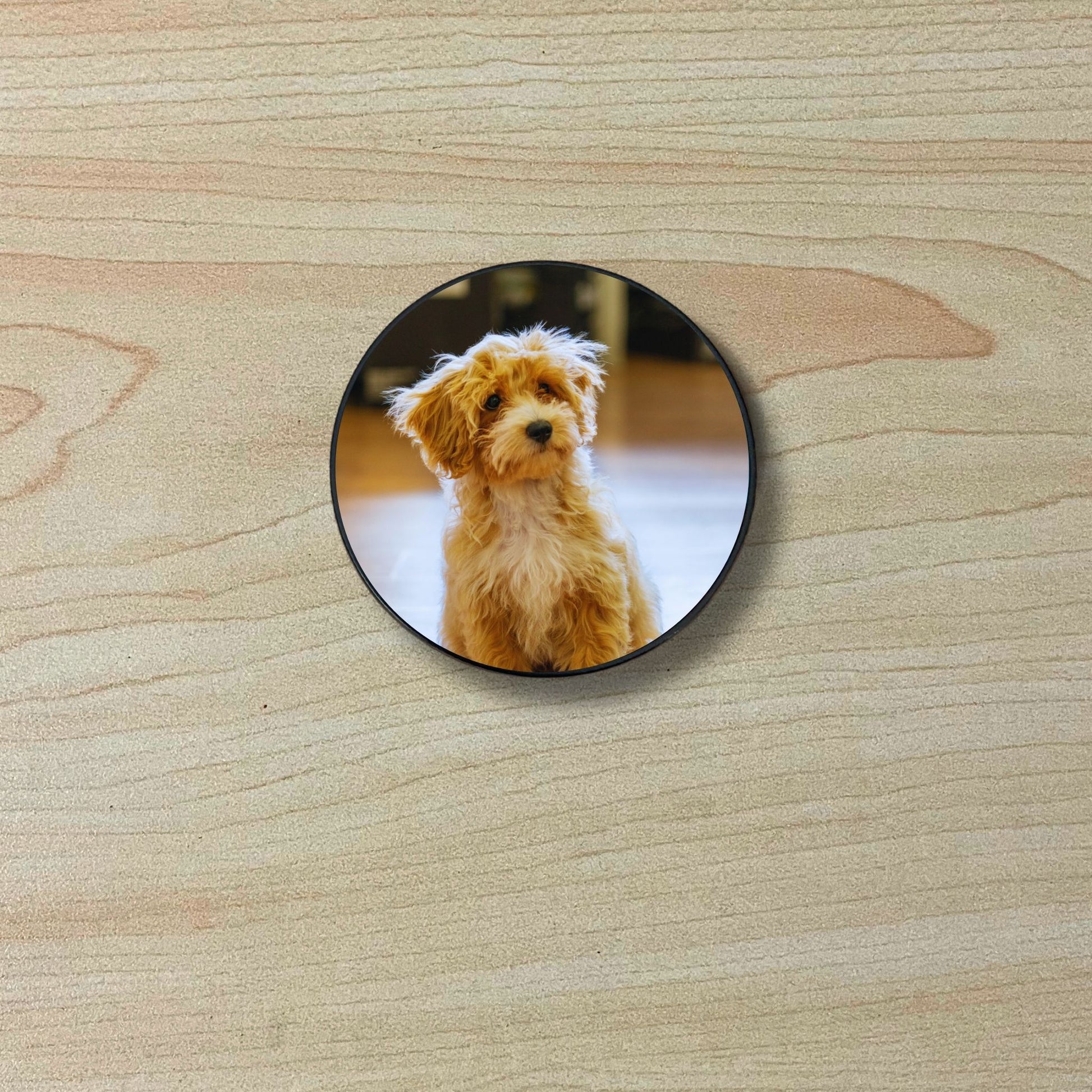 Custom adhesive phone grip with photo of a dog on a wooden surface.